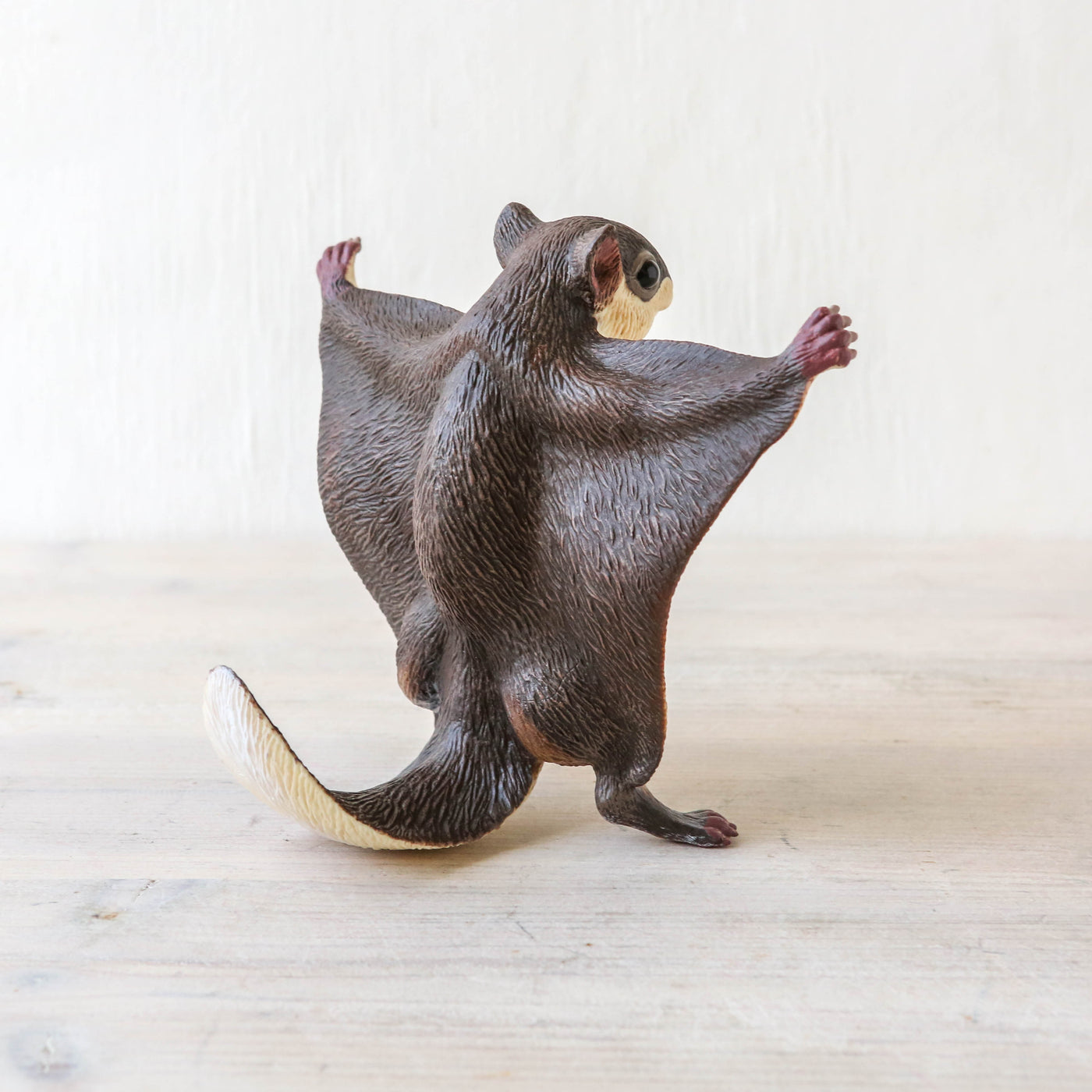 Actual Size Flying Squirrel