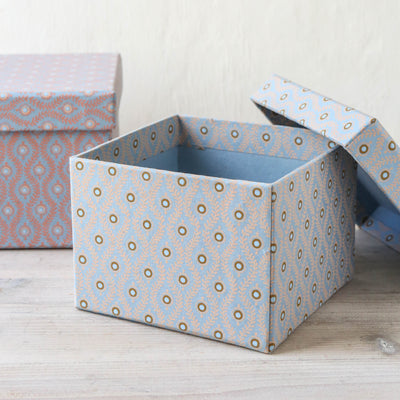 Cubic Covered Storage Box in Lulu Sky - Small