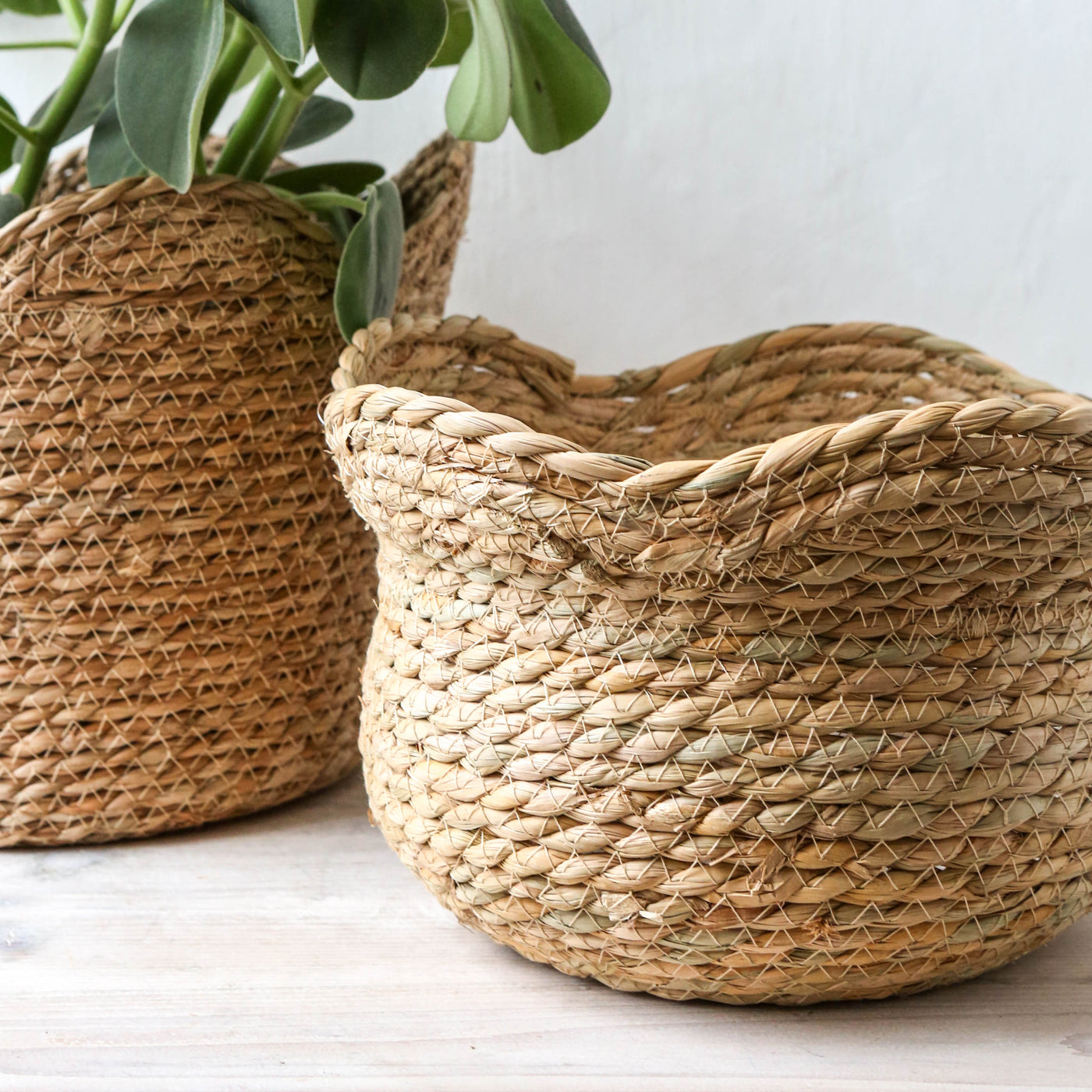 Scalloped Edge Seagrass Basket Planter