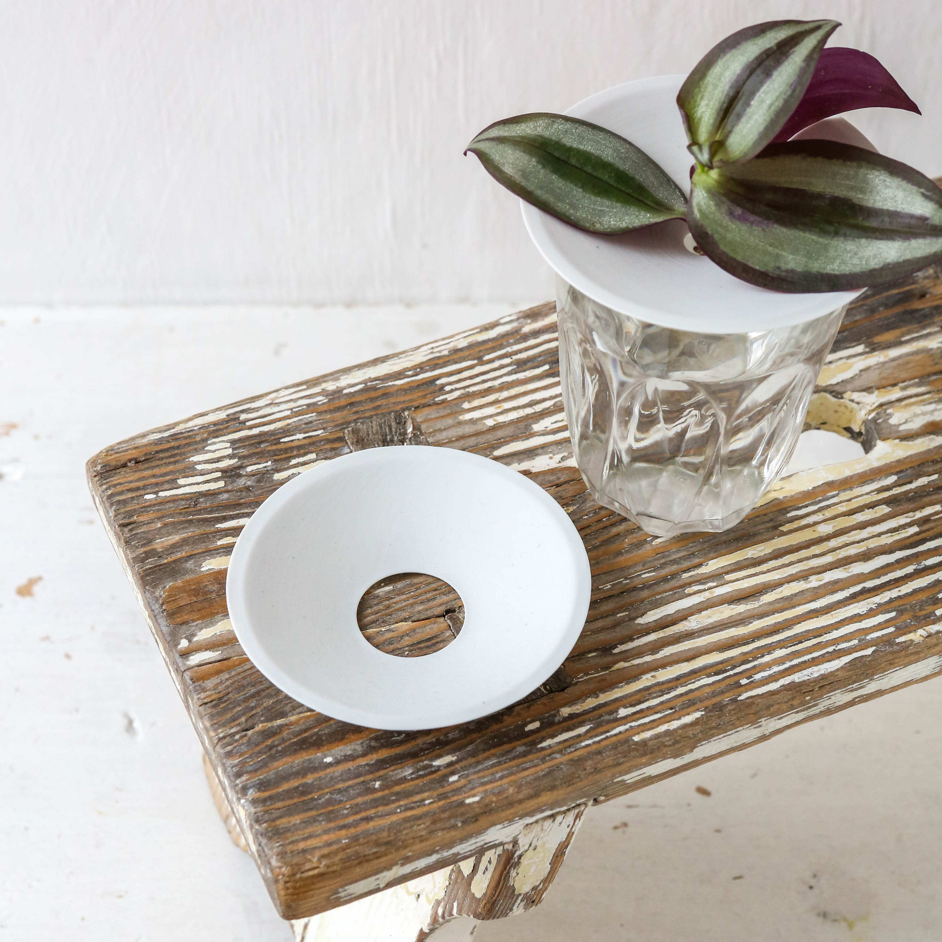 Porcelain Germination & Propagation Plate Berylune