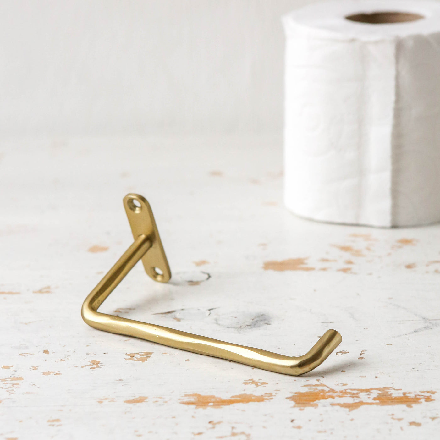 Toilet Paper Holder - Brushed Brass Finish