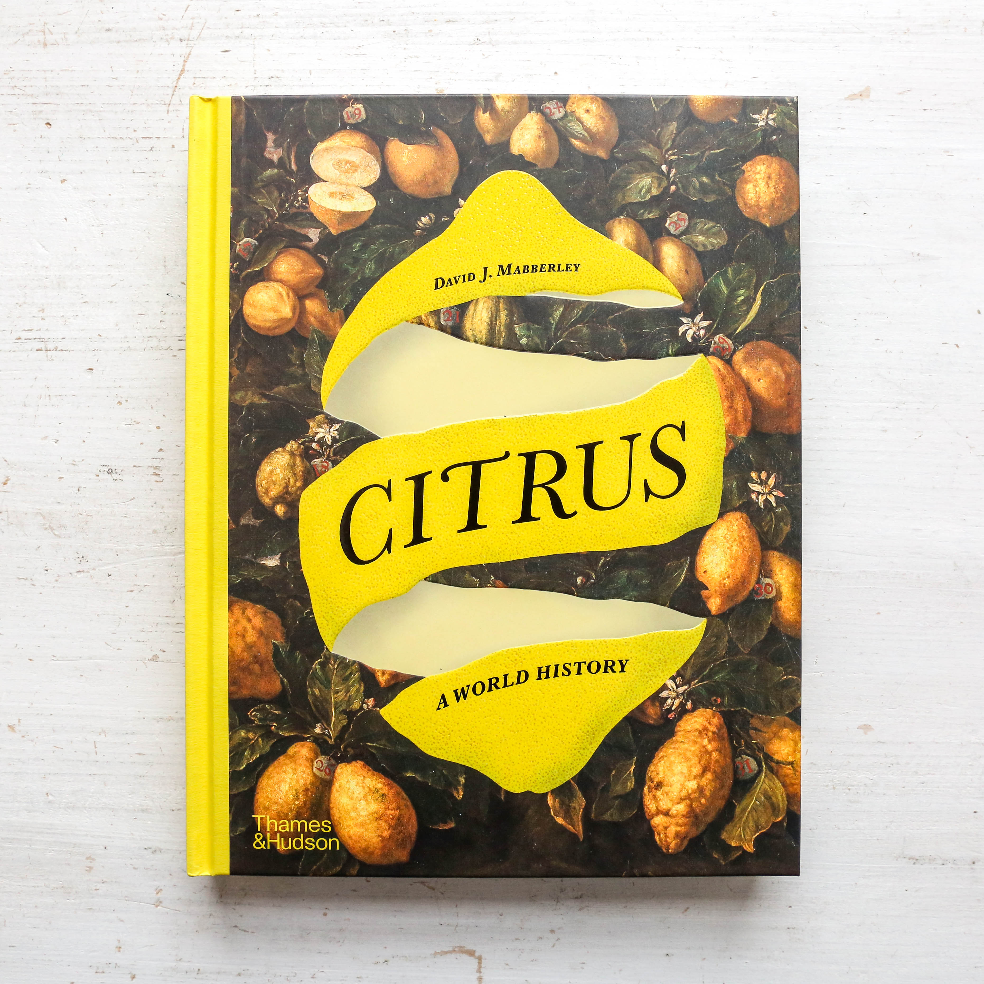 Citrus : A World History – Berylune