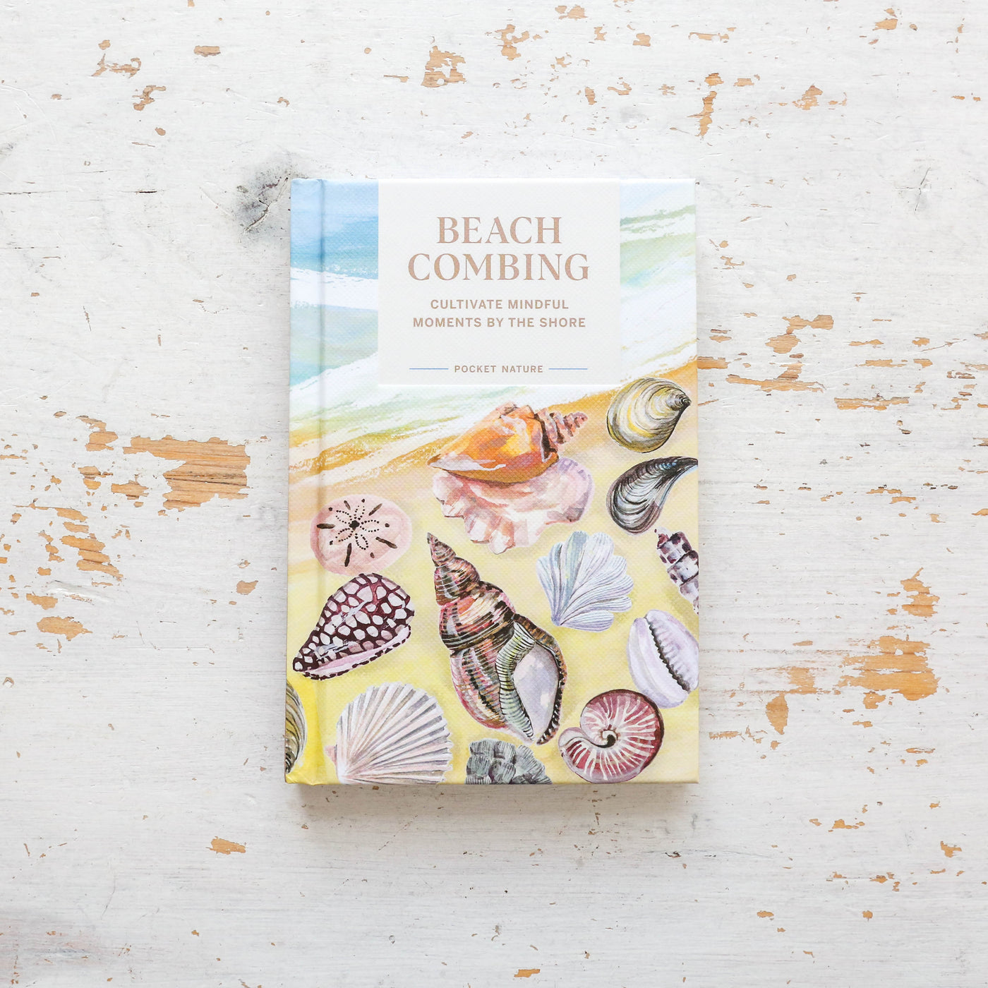 Beachcombing - Pocket Nature Series