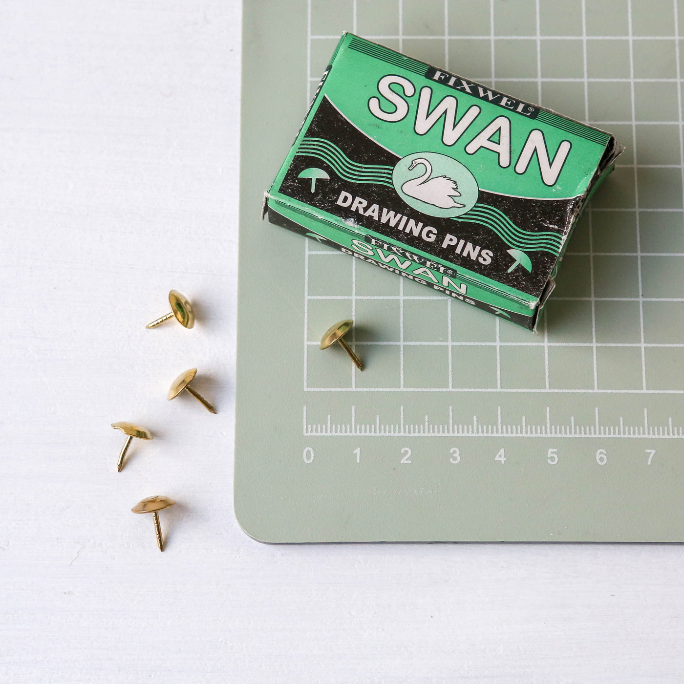 Swan Drawing Pins
