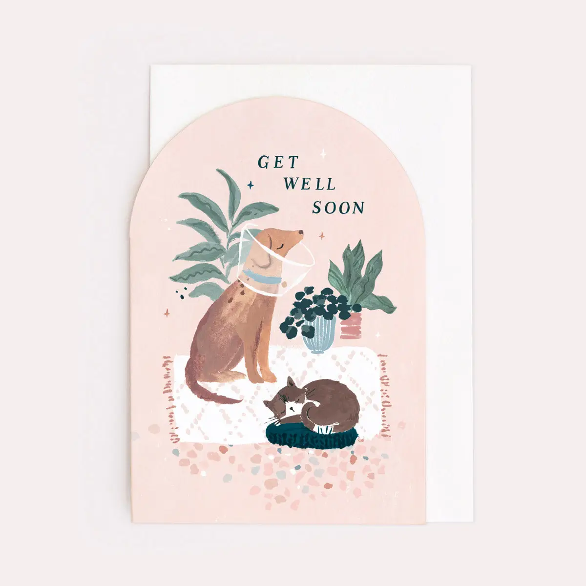 Cat & Dog 'Get Well Soon' Card