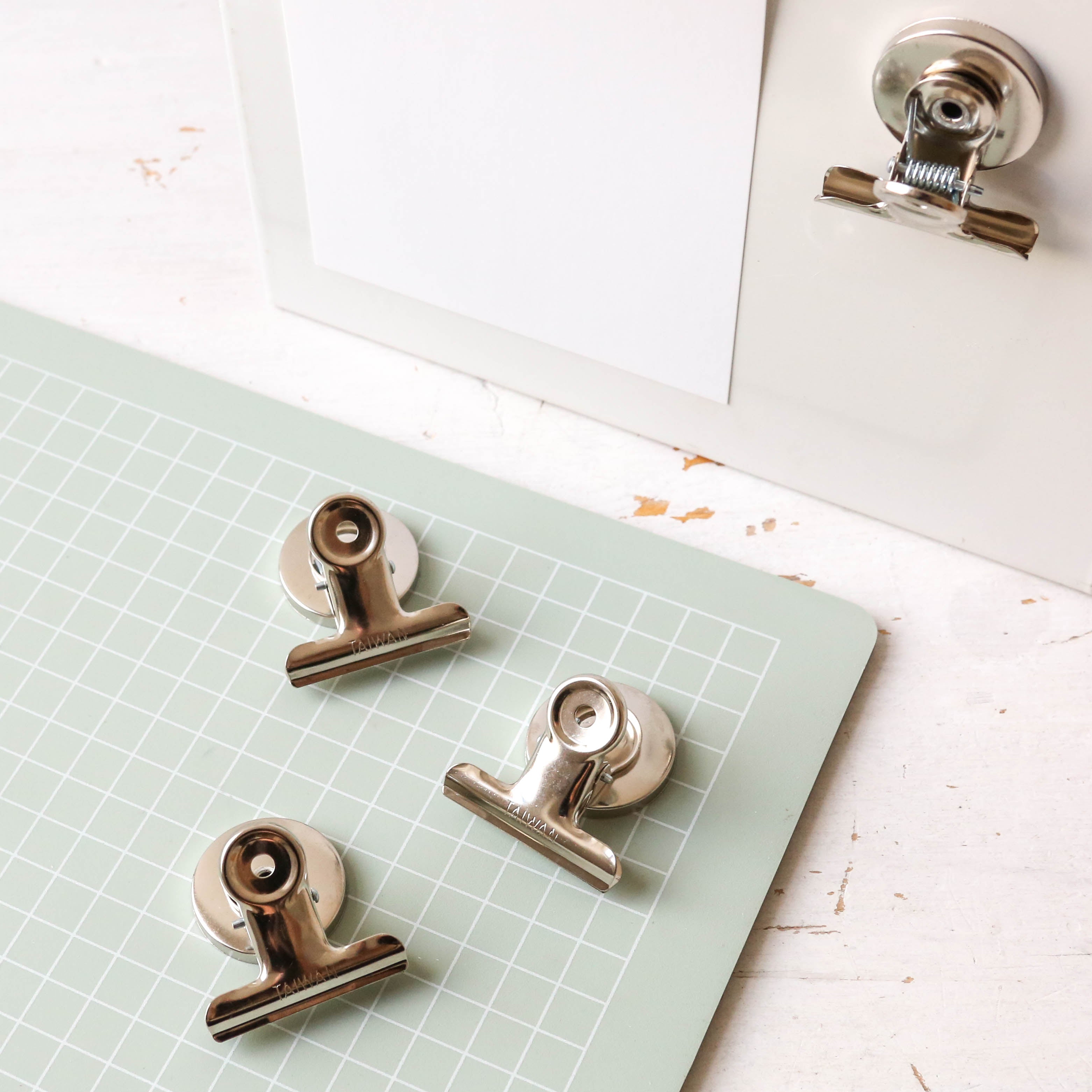 Bulldog Clip Berylune