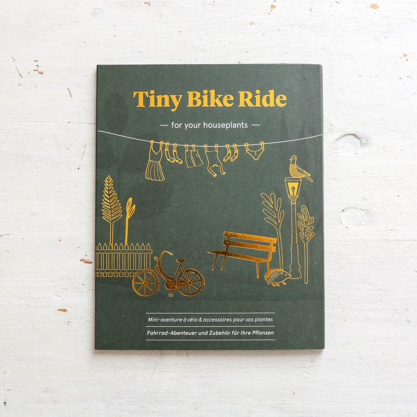 Tiny Bike Adventure for Your Plants