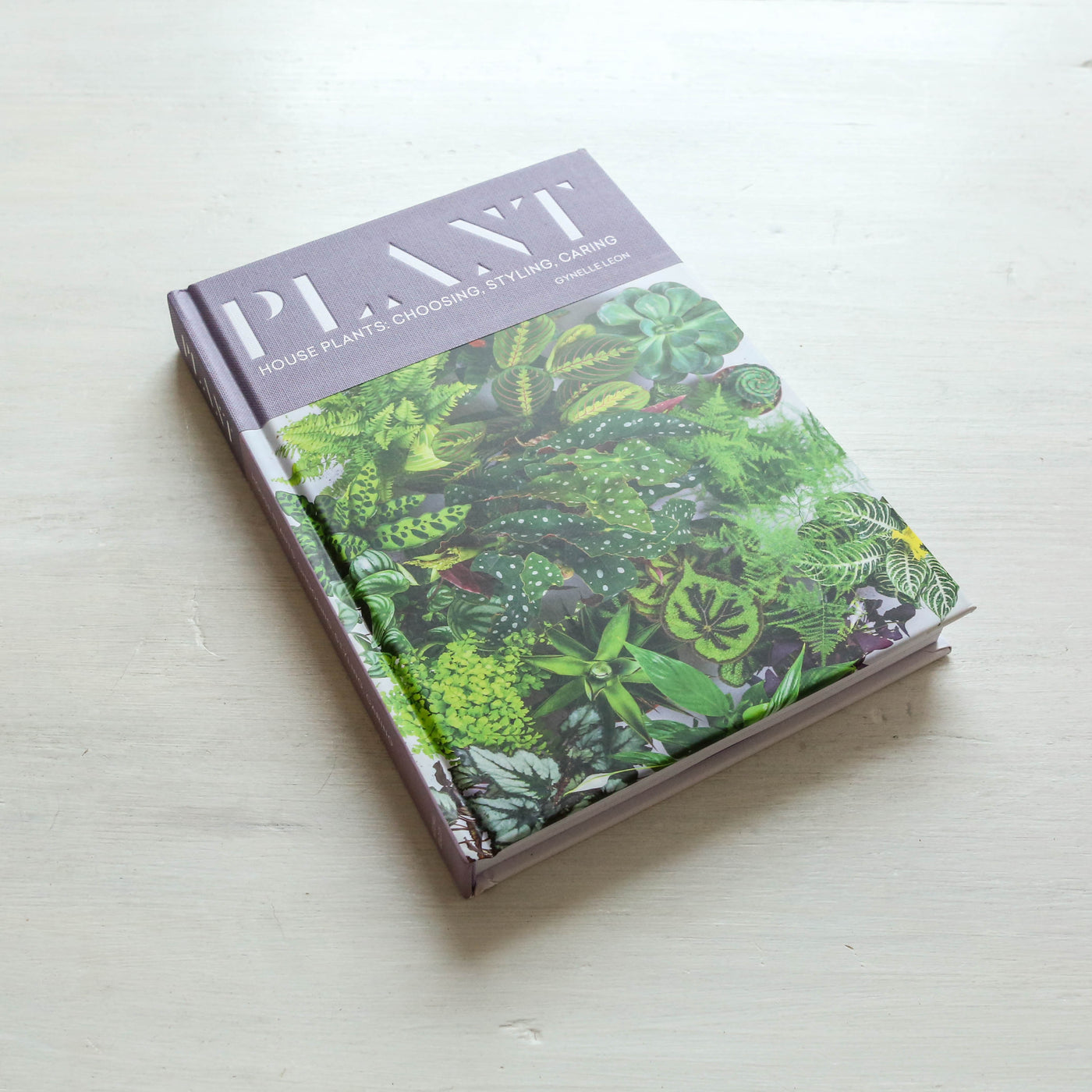 Plant : House plants: choosing, styling, caring