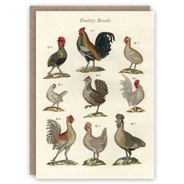 Poultry Breeds Greetings Card