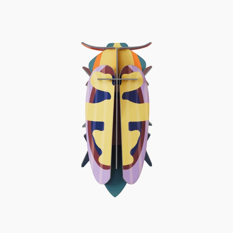 3D Insect - Mango Flower Beetle