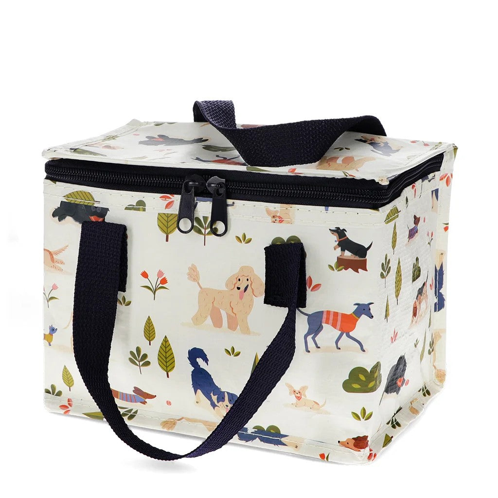 Insulated Lunch Bag