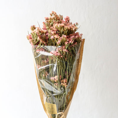 Dried British Statice - Apricot