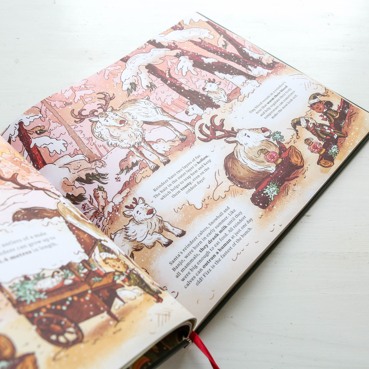 Secrets from the North Pole : Discover the magic of Christmas