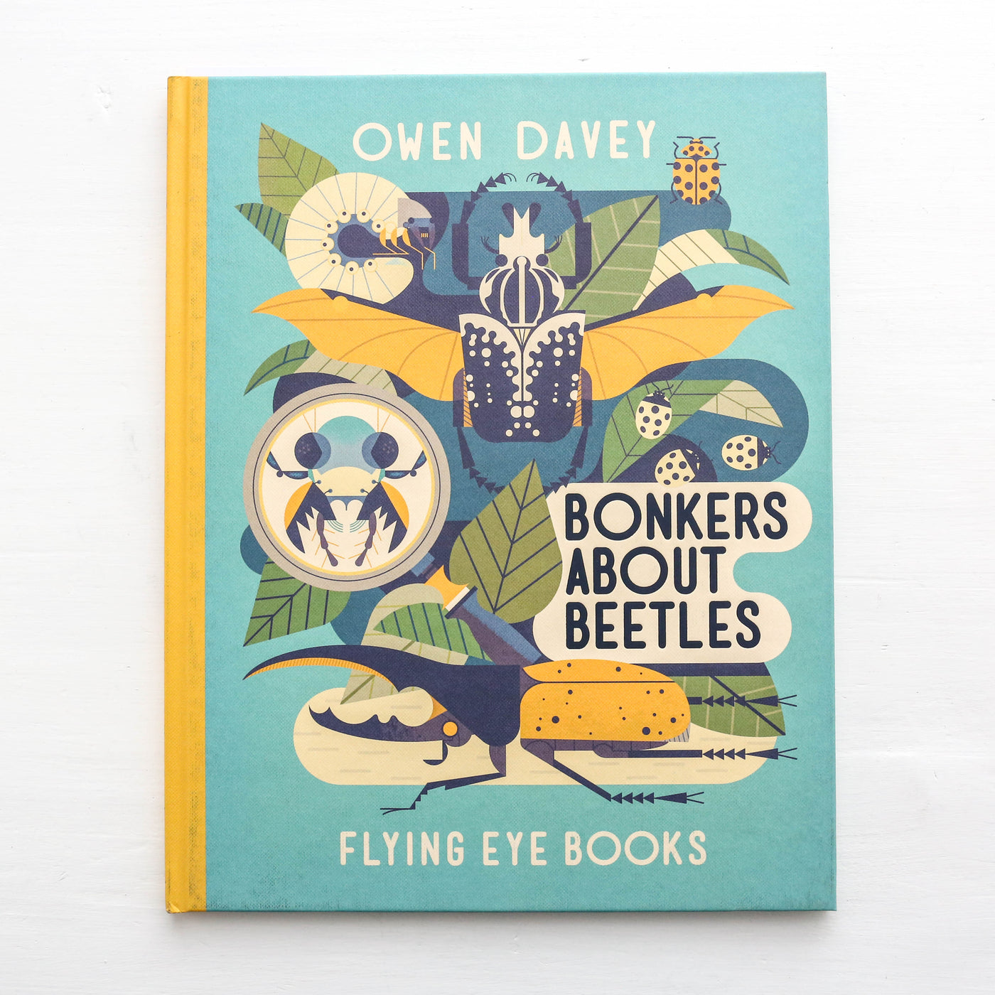 Bonkers About Beetles