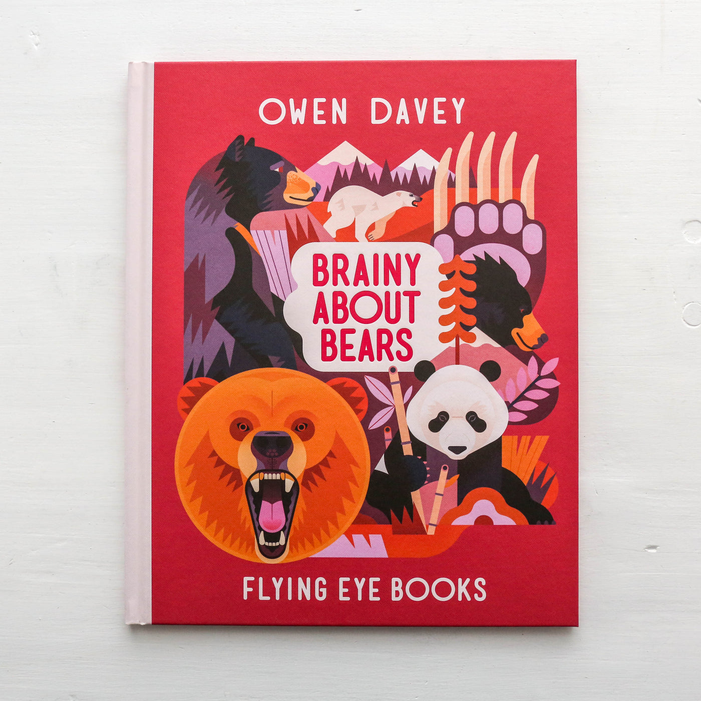 Brainy About Bears
