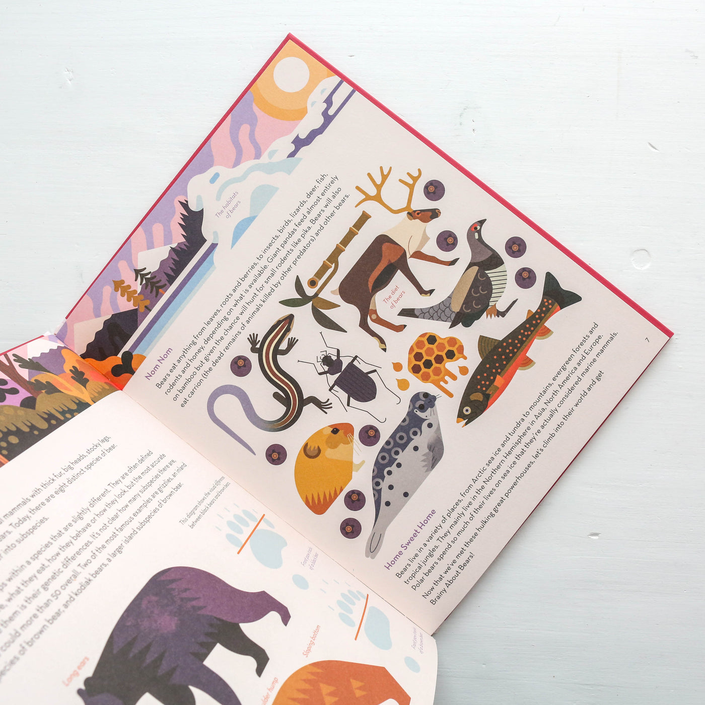 Brainy About Bears