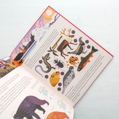 Brainy About Bears