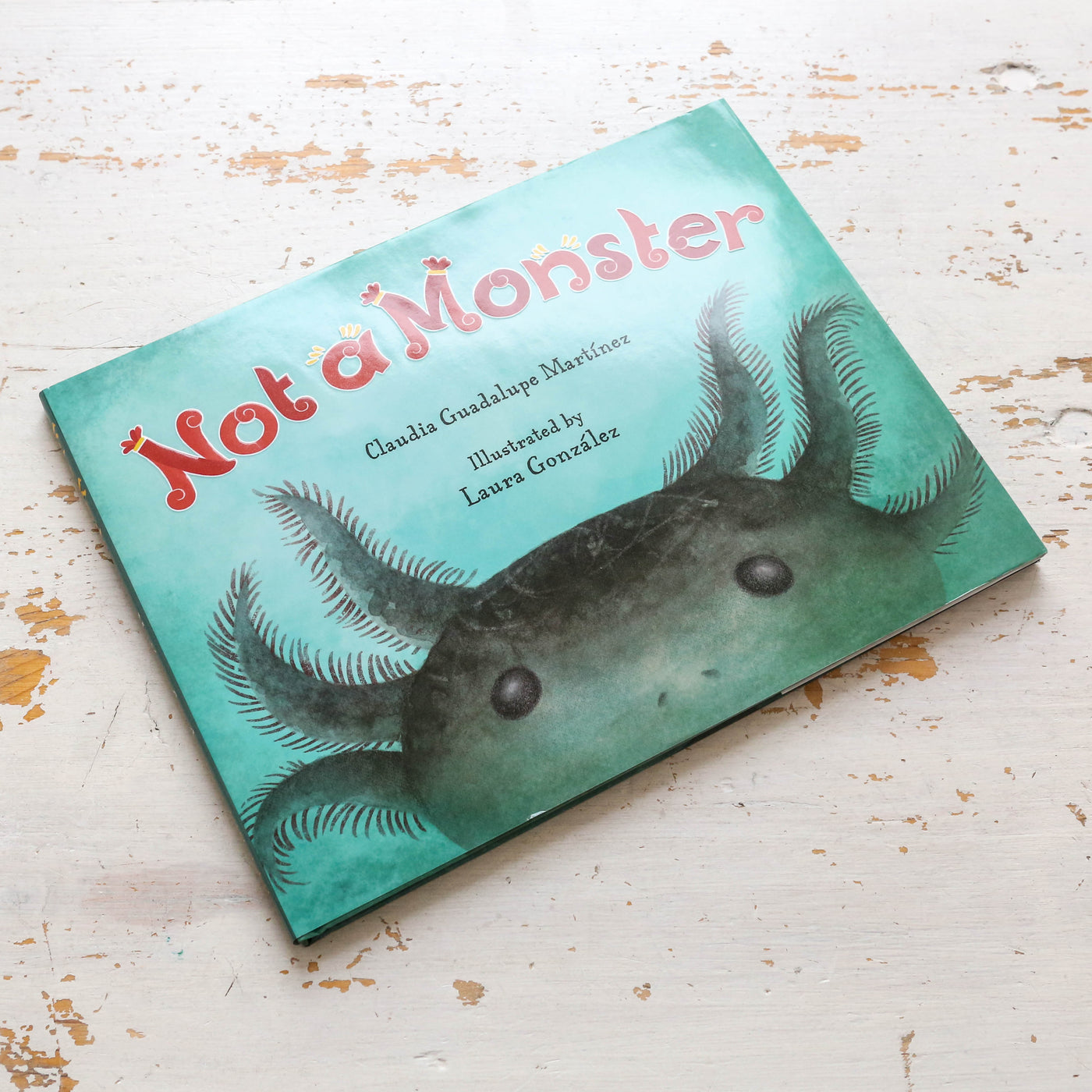 Not A Monster