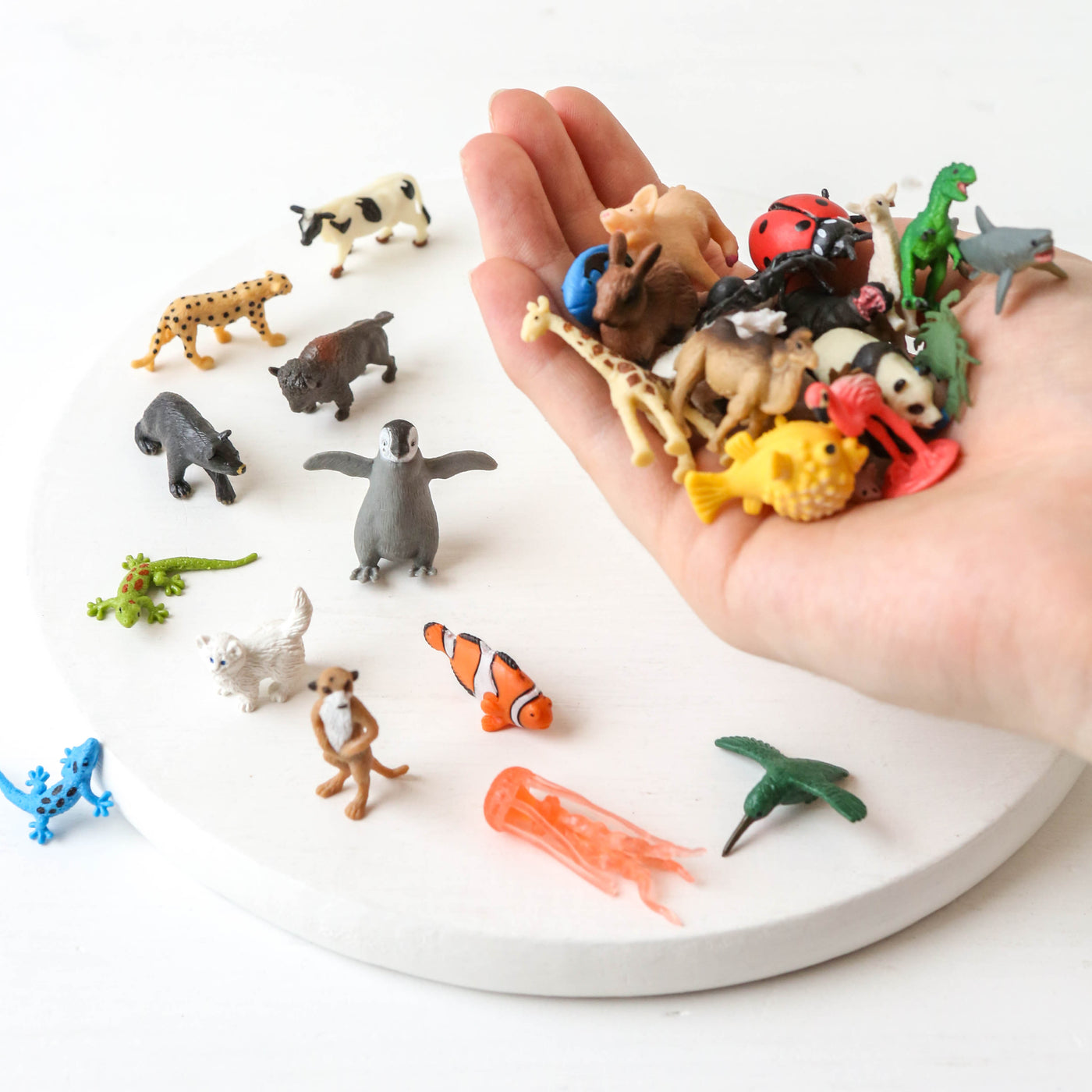 Assorted Small Rubber Animal
