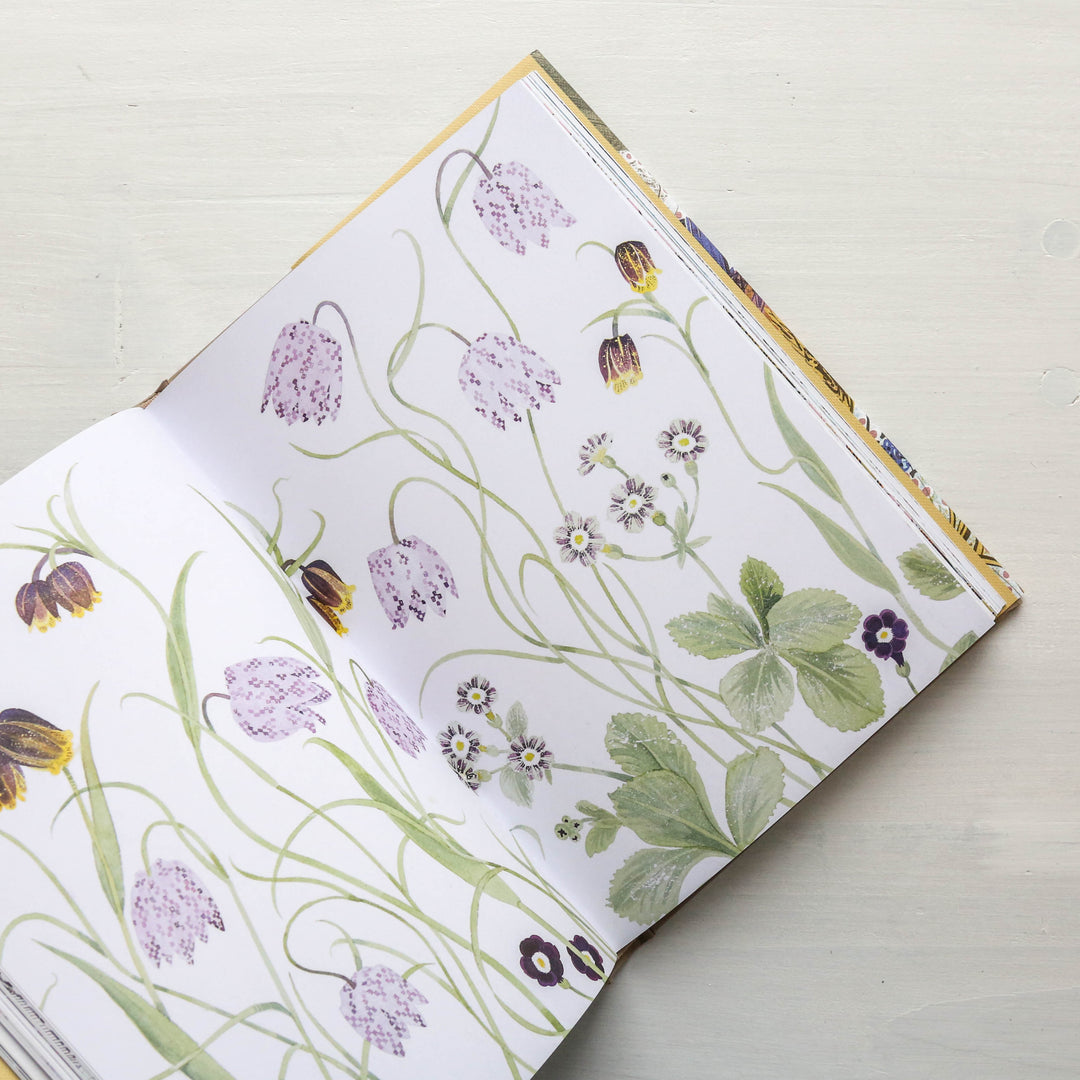 The Book of Wild Flowers : Reflections on Favourite Plants – Berylune