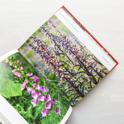 The Super Bloom Handbook : Maximum flowers. Minimum effort.