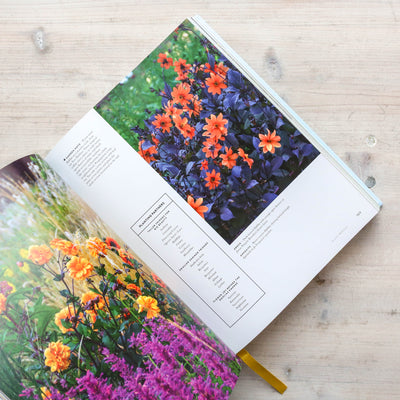 Super Bloom : A Field Guide to Flowers for Every Gardener