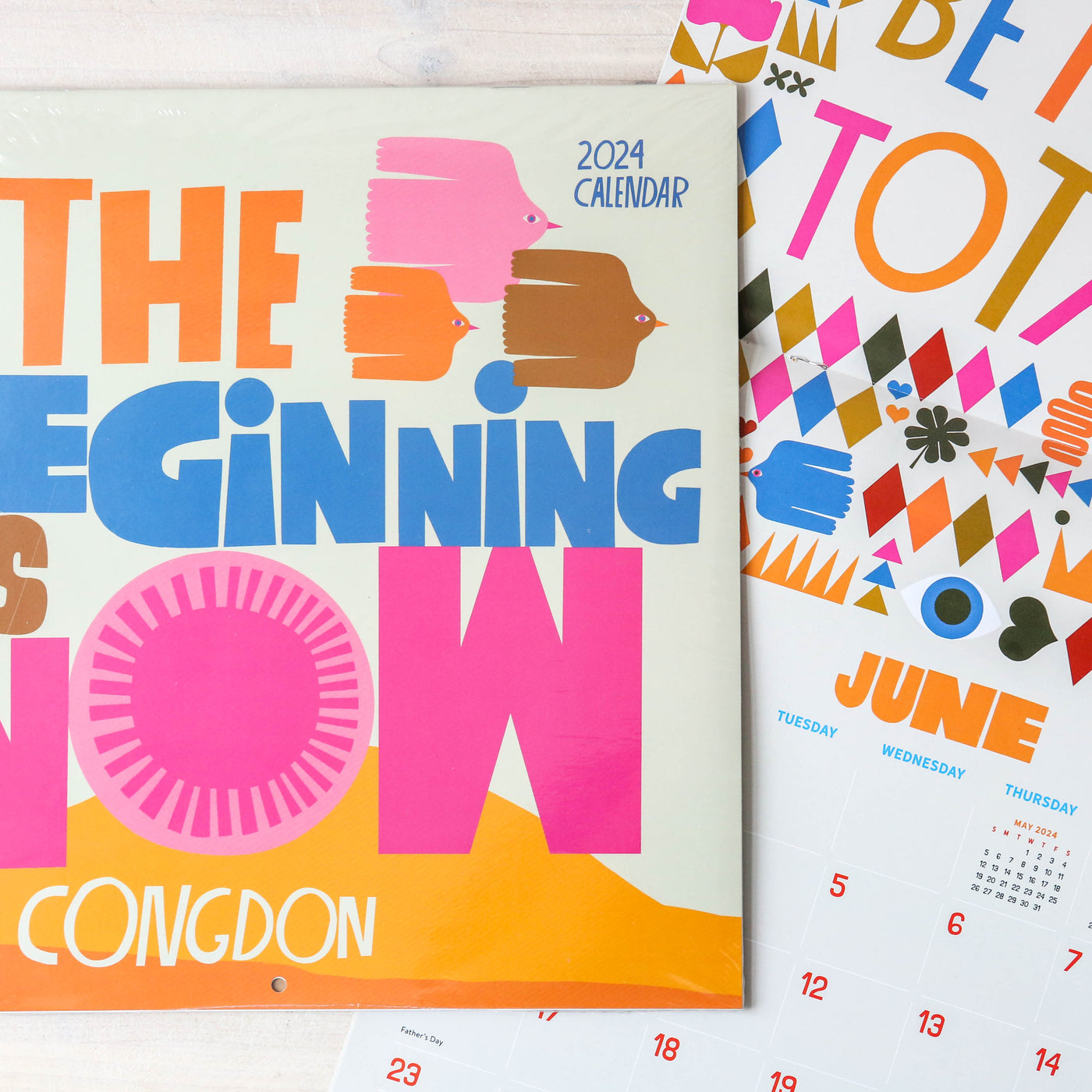 Lisa Congdon 2024 Wall Calendar