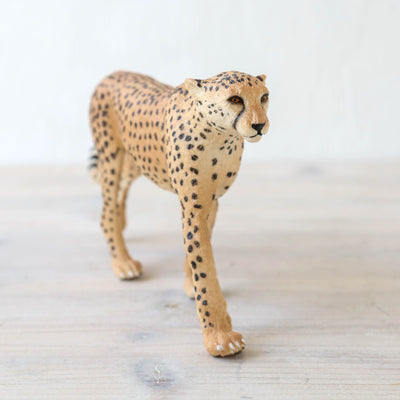Giant Cheetah
