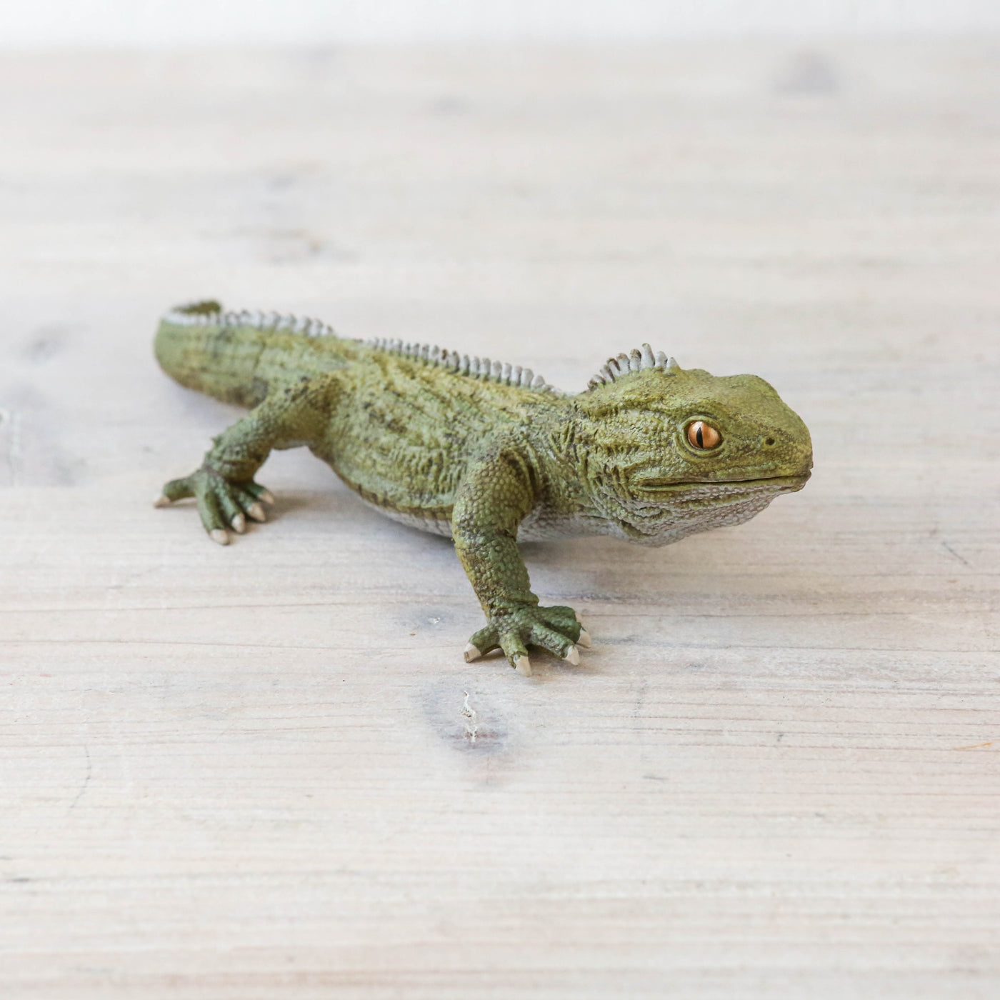 Actual Size Tuatara