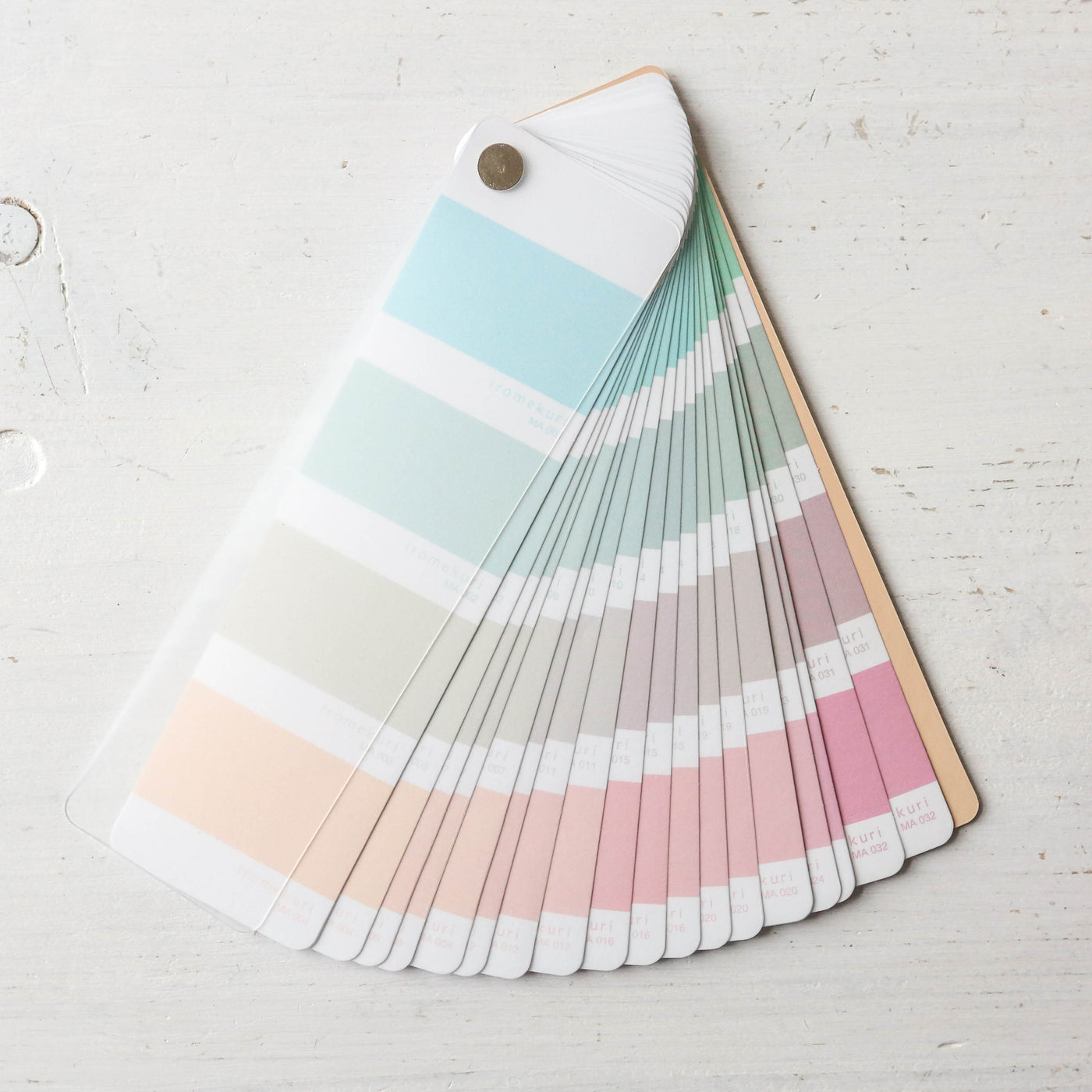 Colour Palette Sticker Fan