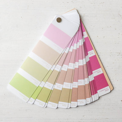 Colour Palette Sticker Fan