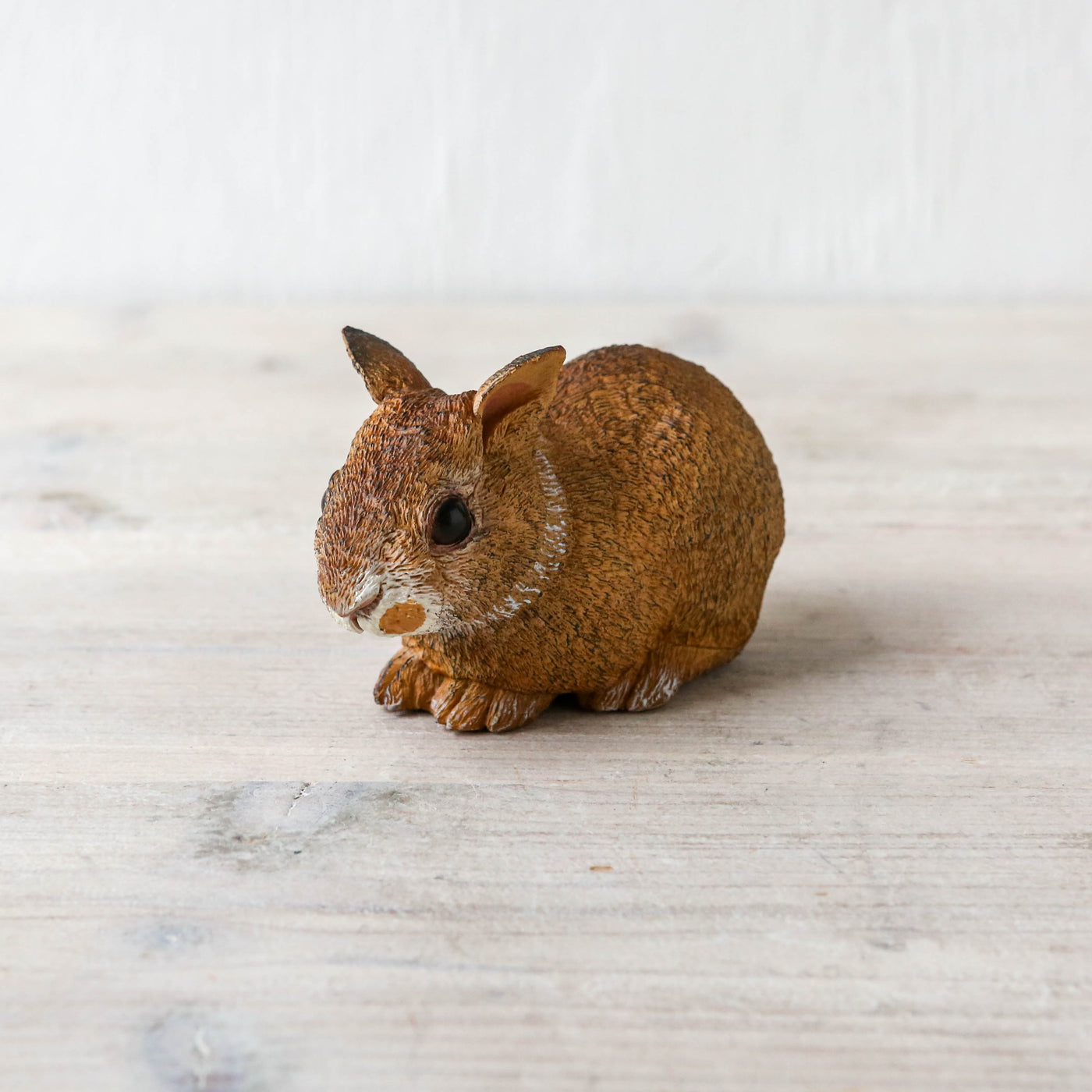 Actual Size Baby Cottontail Rabbit