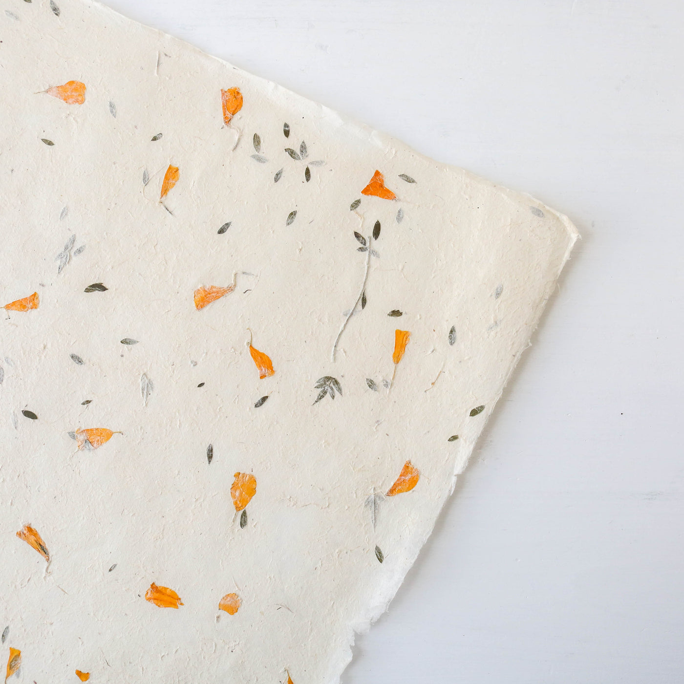 Single Sheet of Lokta Petal Paper