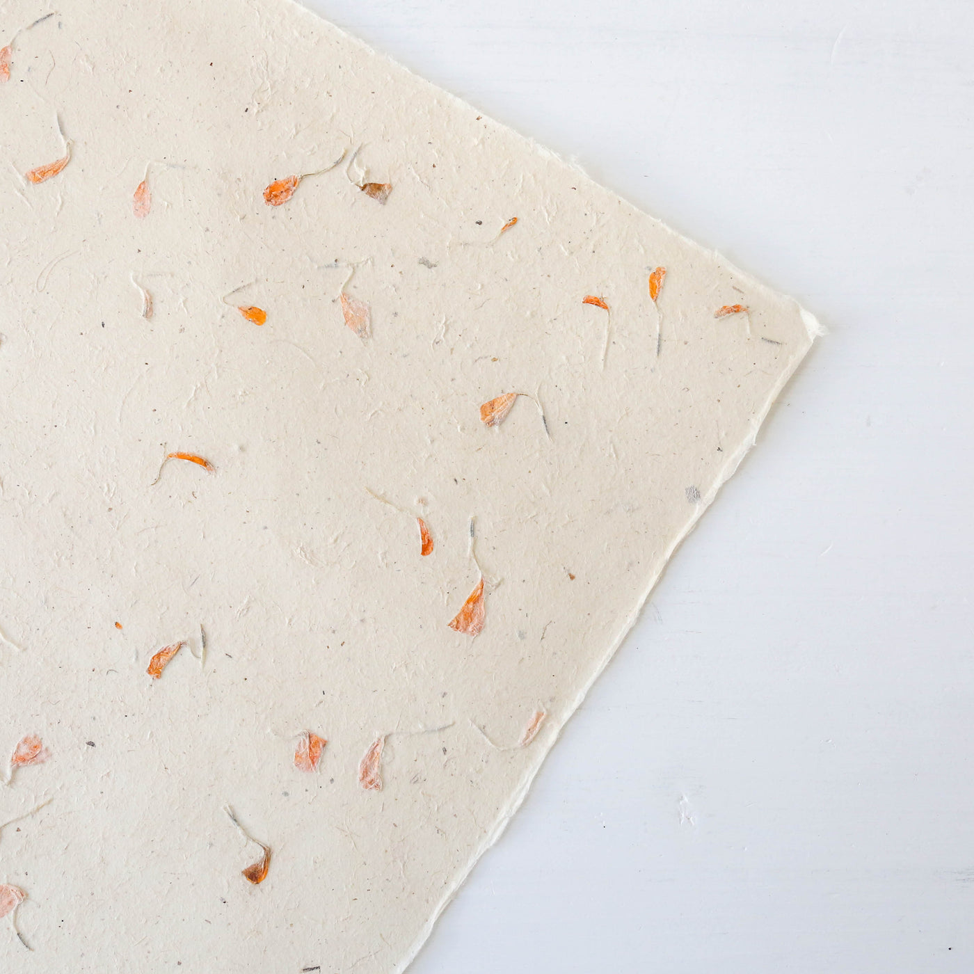Single Sheet of Lokta Petal Paper