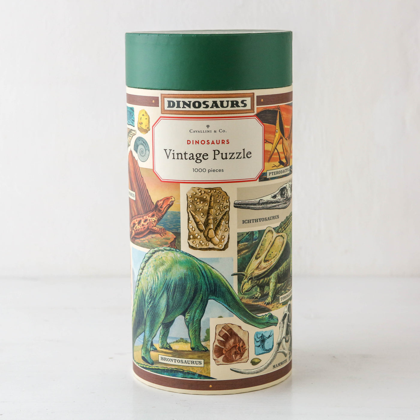 Dinosaurs 1000 Piece Puzzle