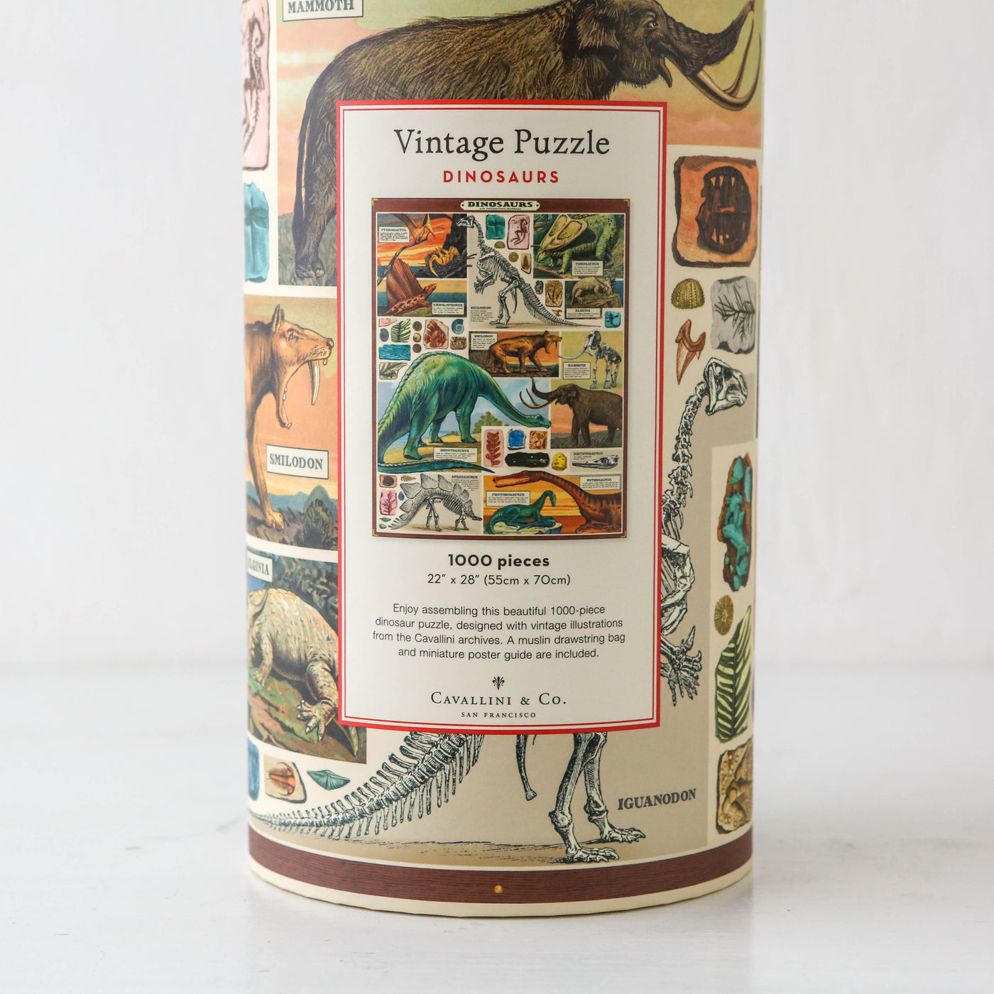 Dinosaurs 1000 Piece Puzzle