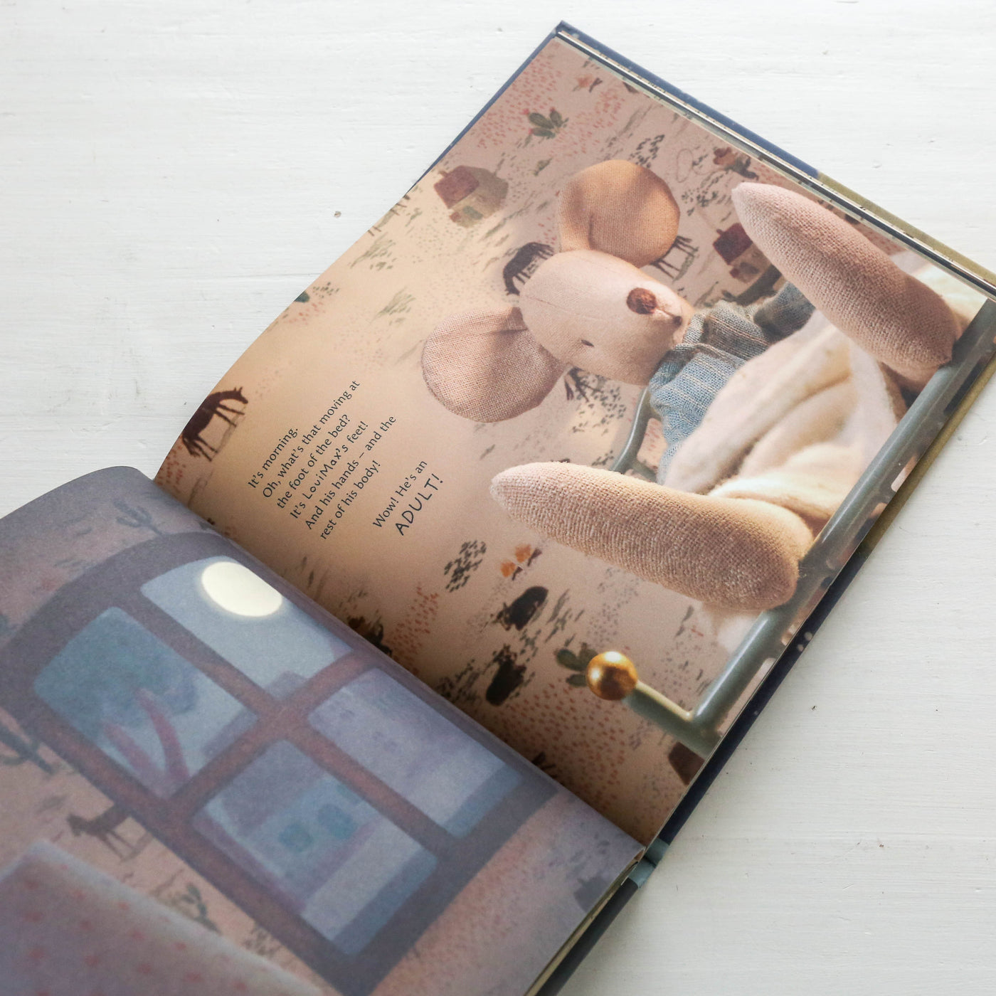 LouiMax - Dreams of Being an Adult Book