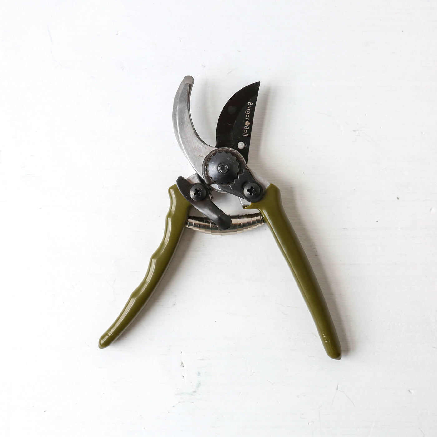 Micro Secateurs - Olive