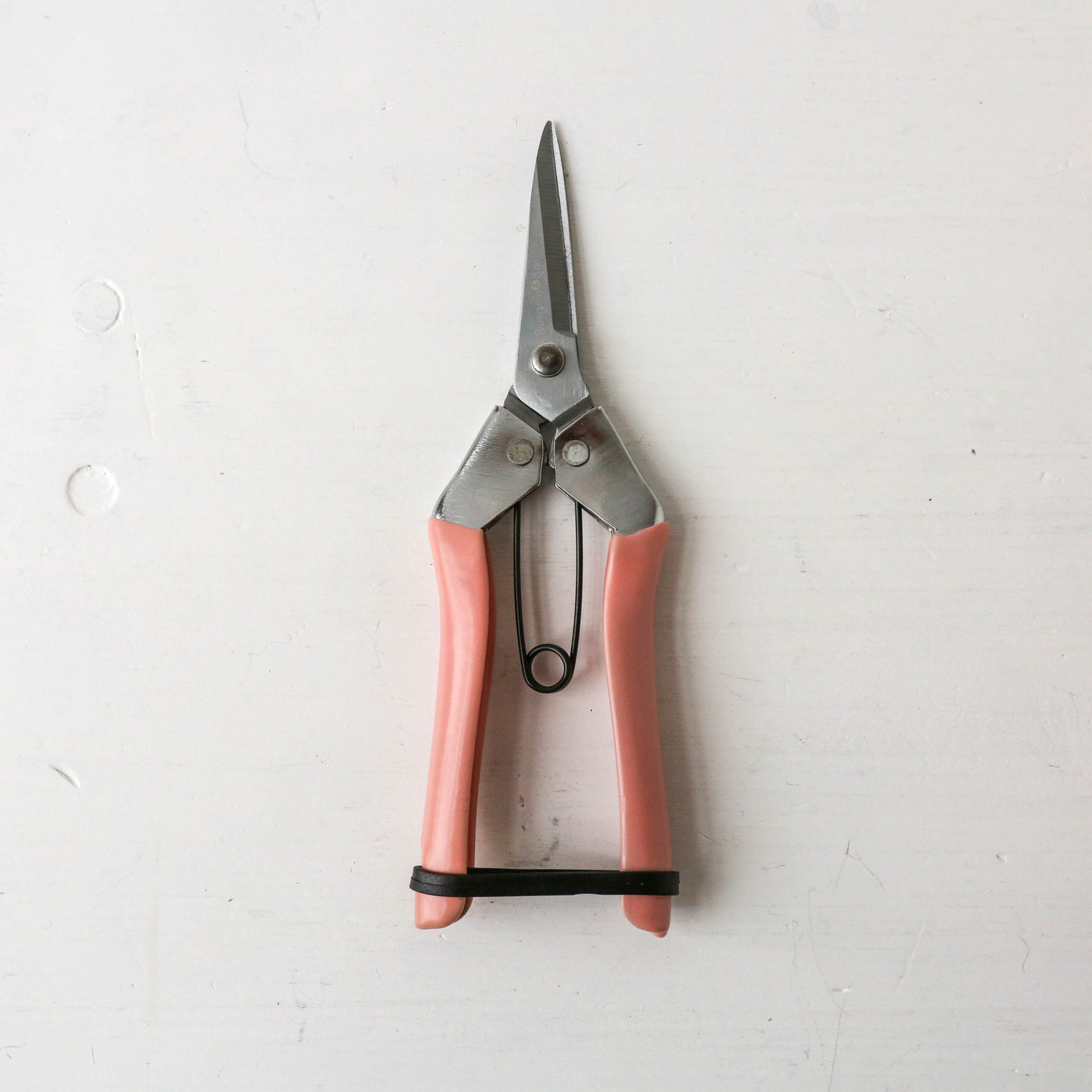 Fruit & Flower Snips - Blush