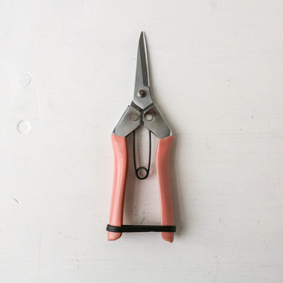 Fruit & Flower Snips - Blush