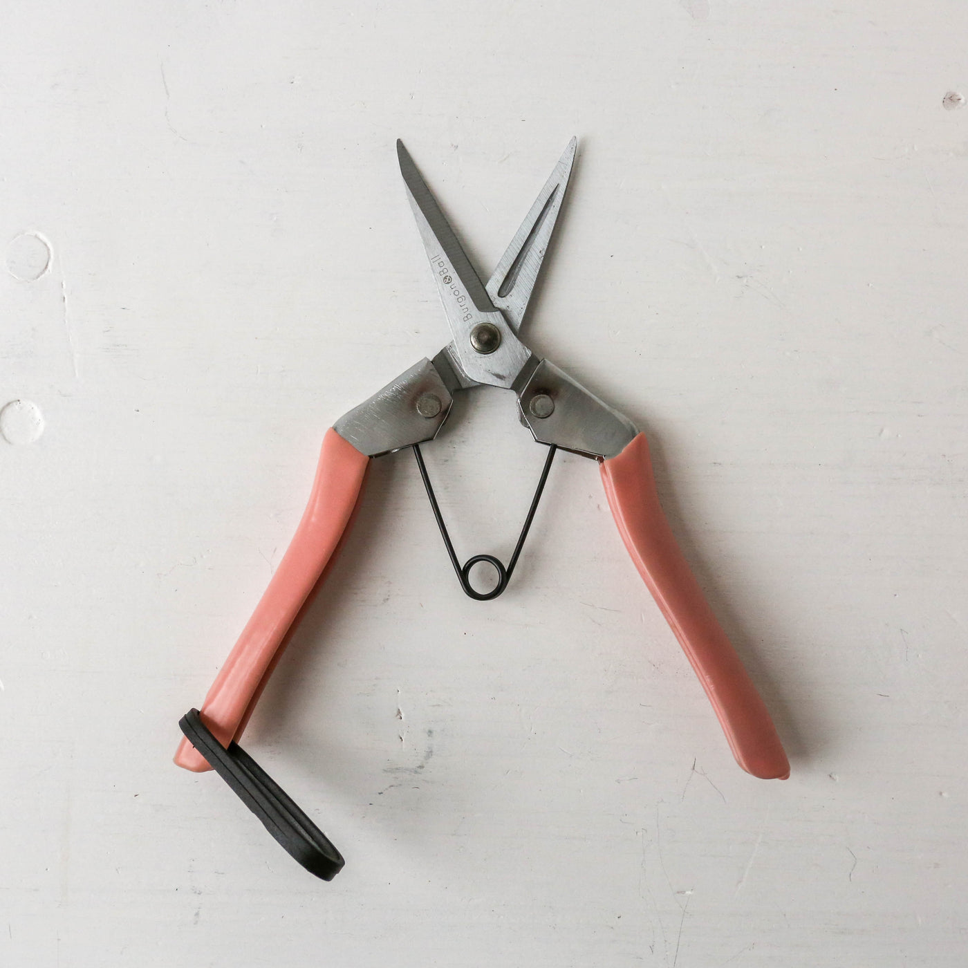 Fruit & Flower Snips - Blush