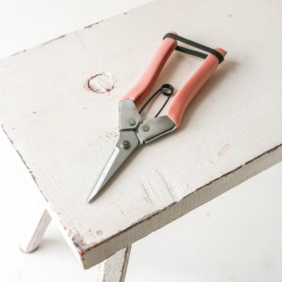 Fruit & Flower Snips - Blush