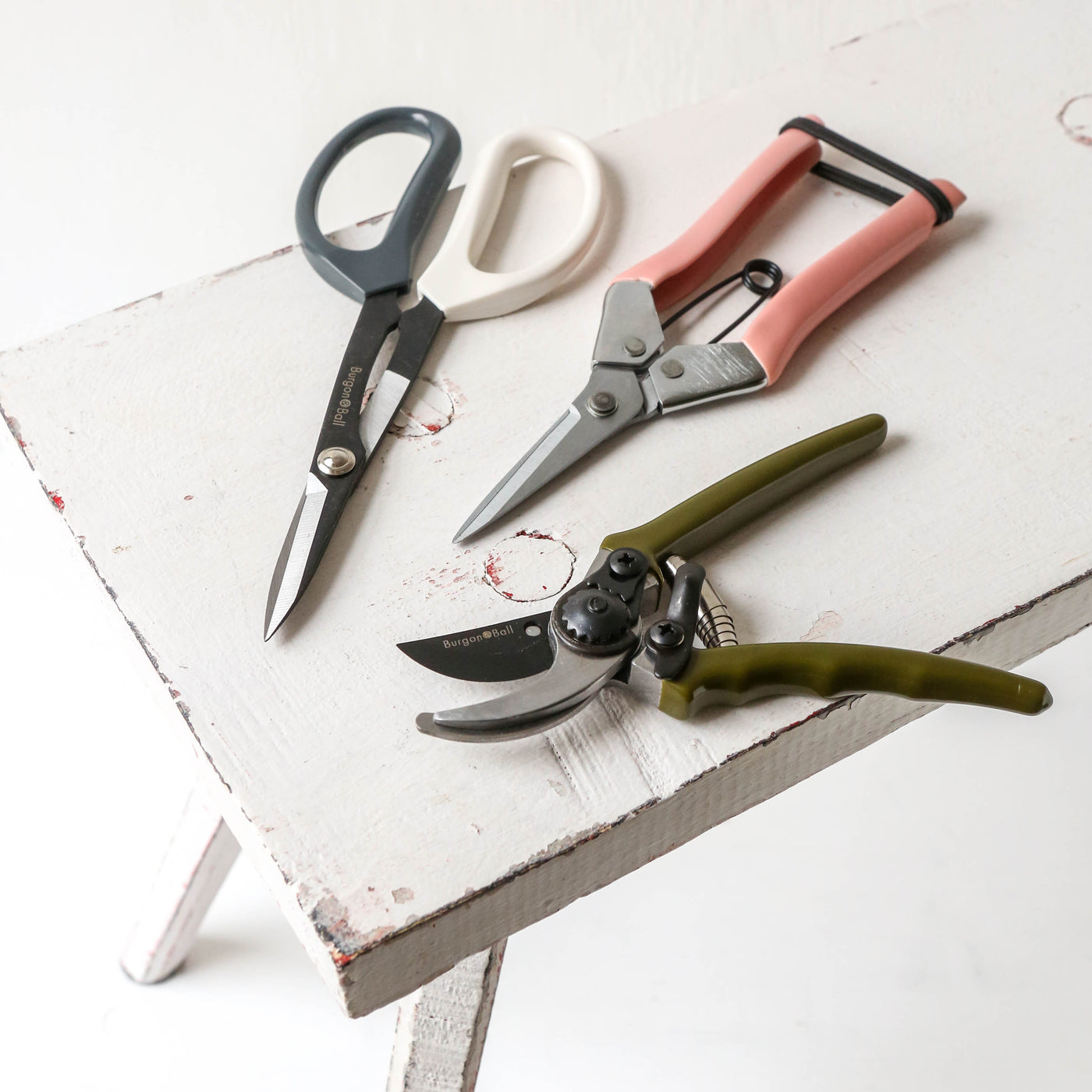 Fruit & Flower Snips - Blush
