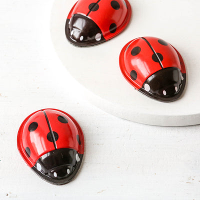 Click Clack Ladybird