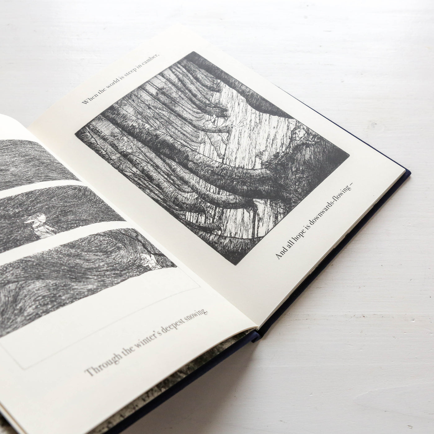 The Night Creatures : Firefly