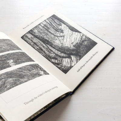 The Night Creatures : Firefly