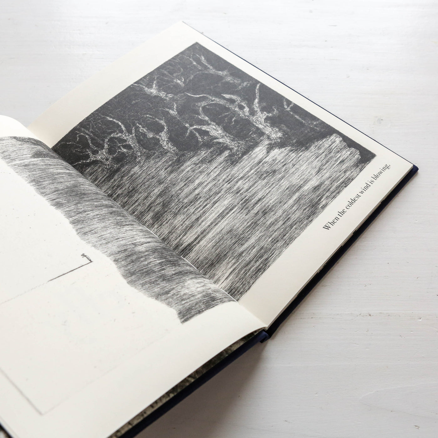 The Night Creatures : Firefly