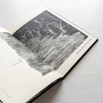 The Night Creatures : Firefly