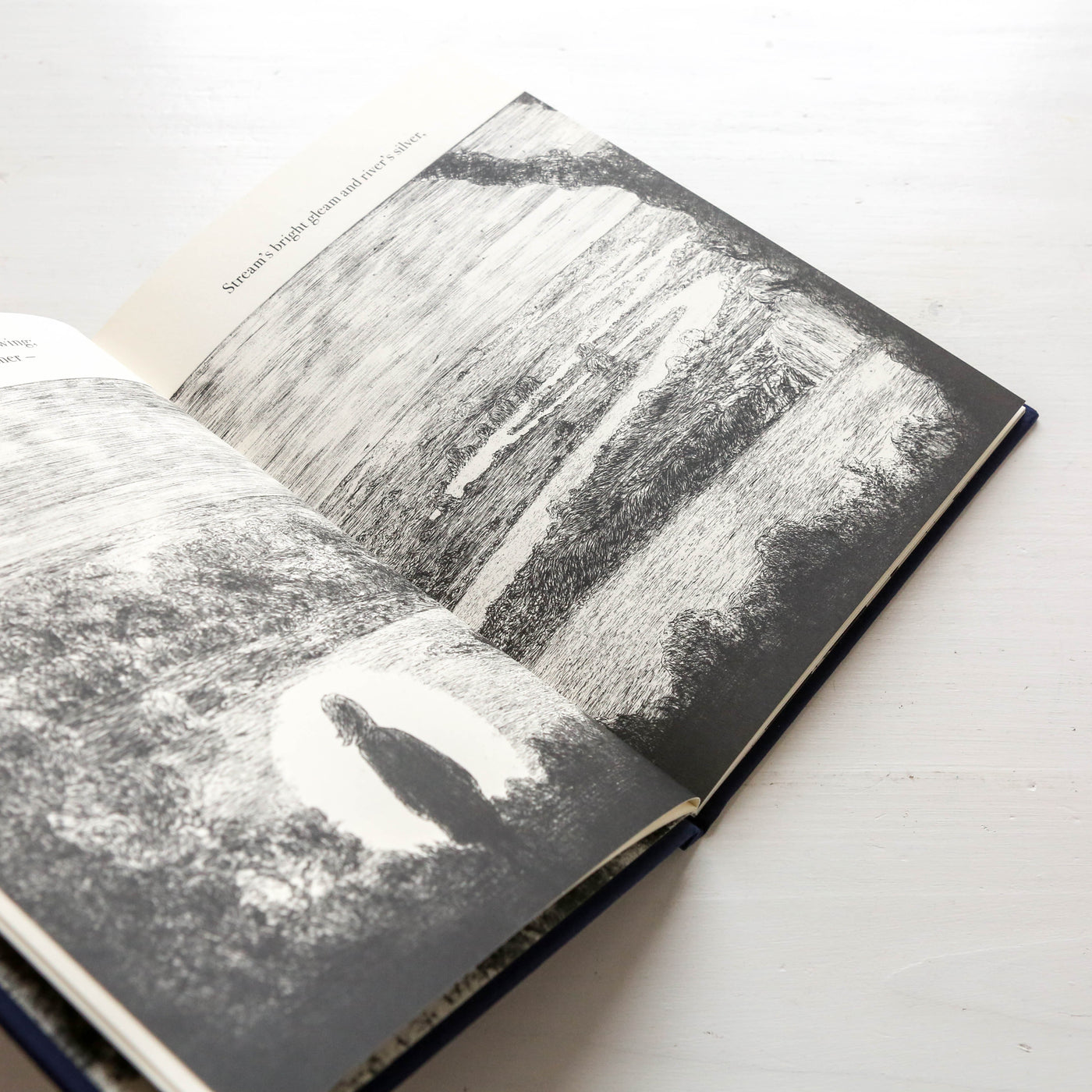 The Night Creatures : Firefly