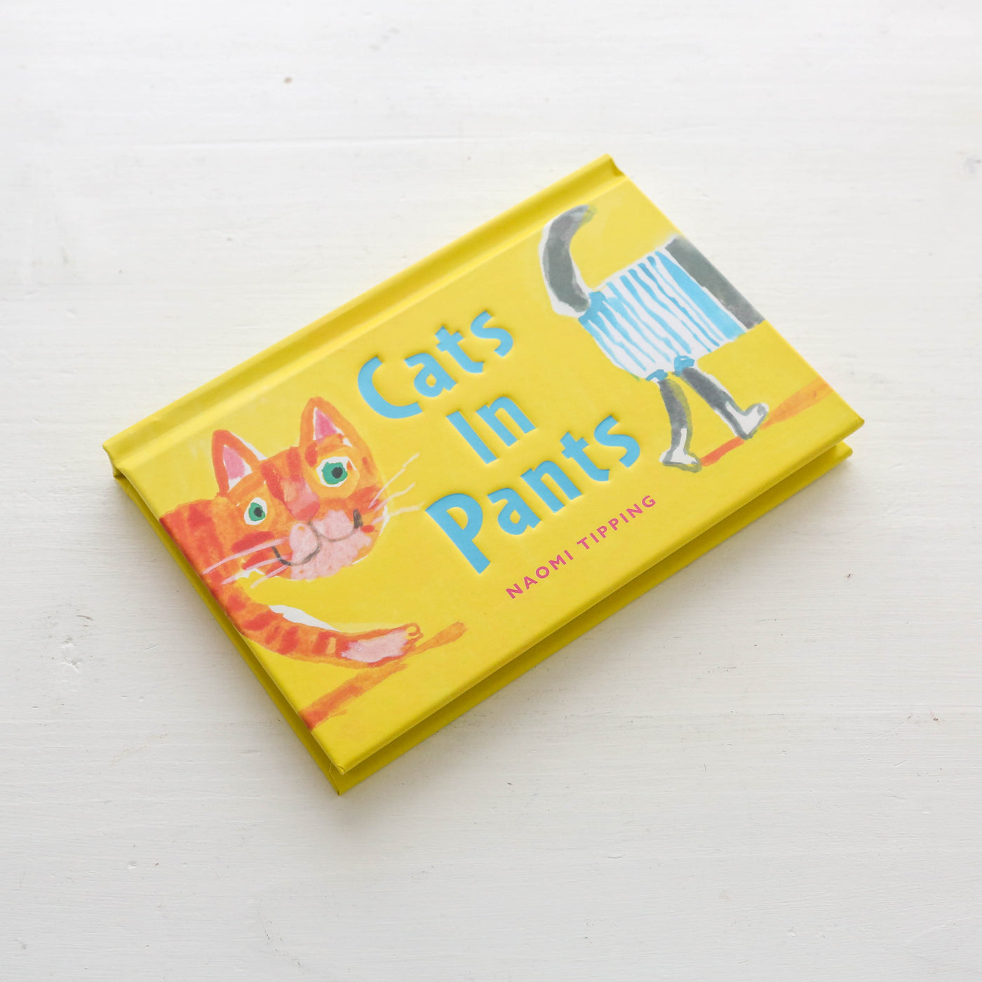 Cats in Pants
